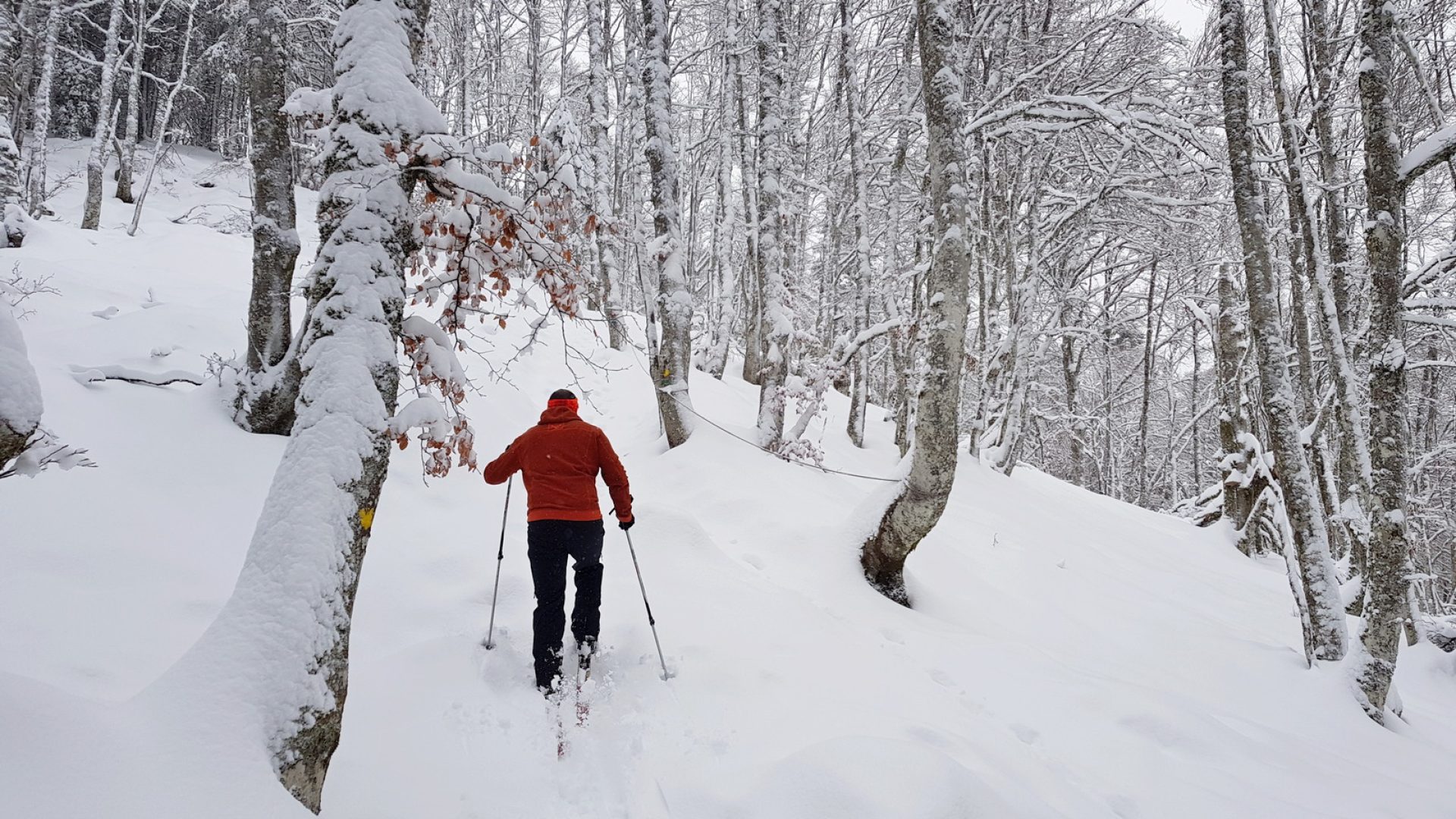 ski de randonnée nordique
