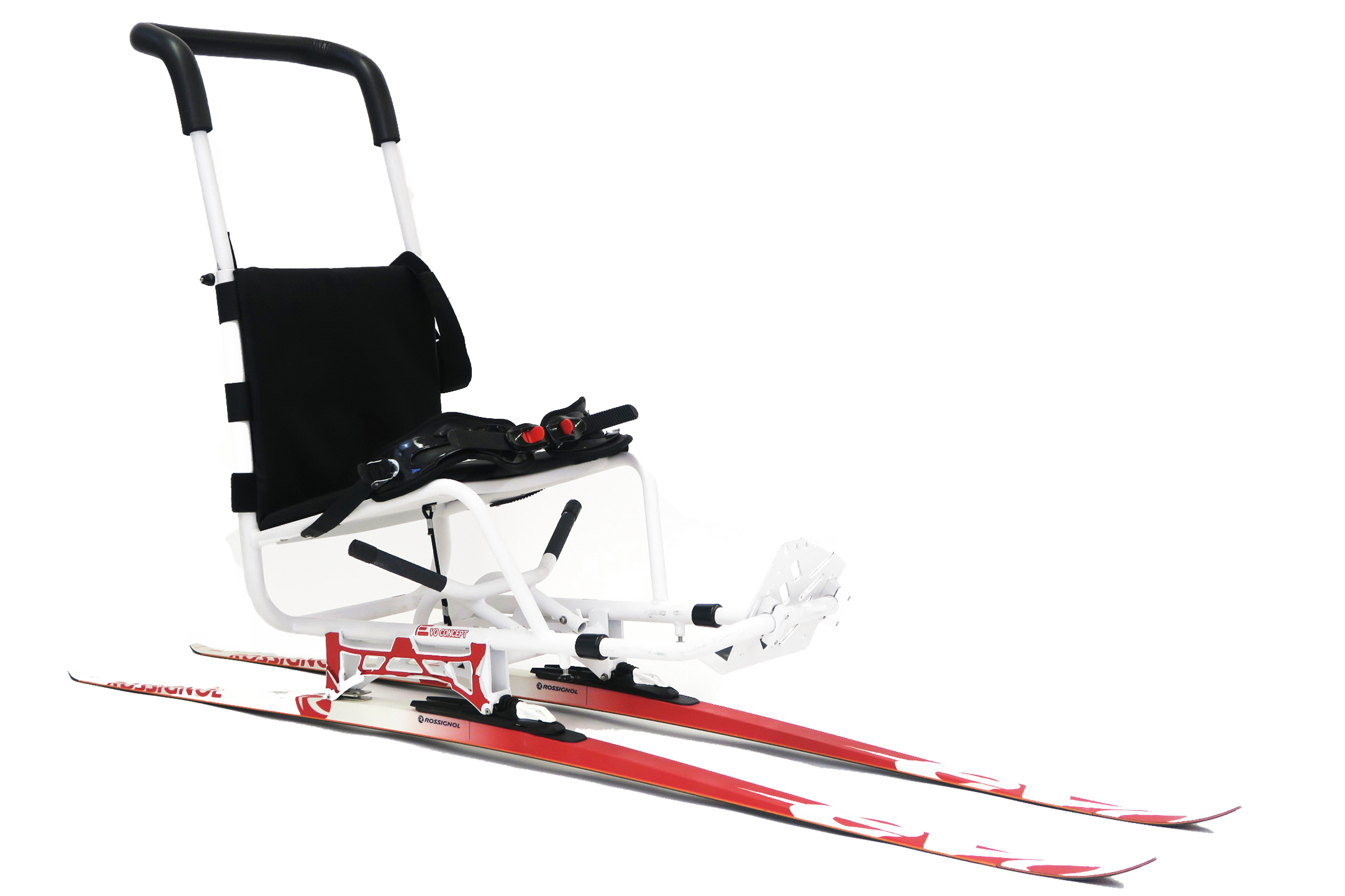 ski pour handicapé