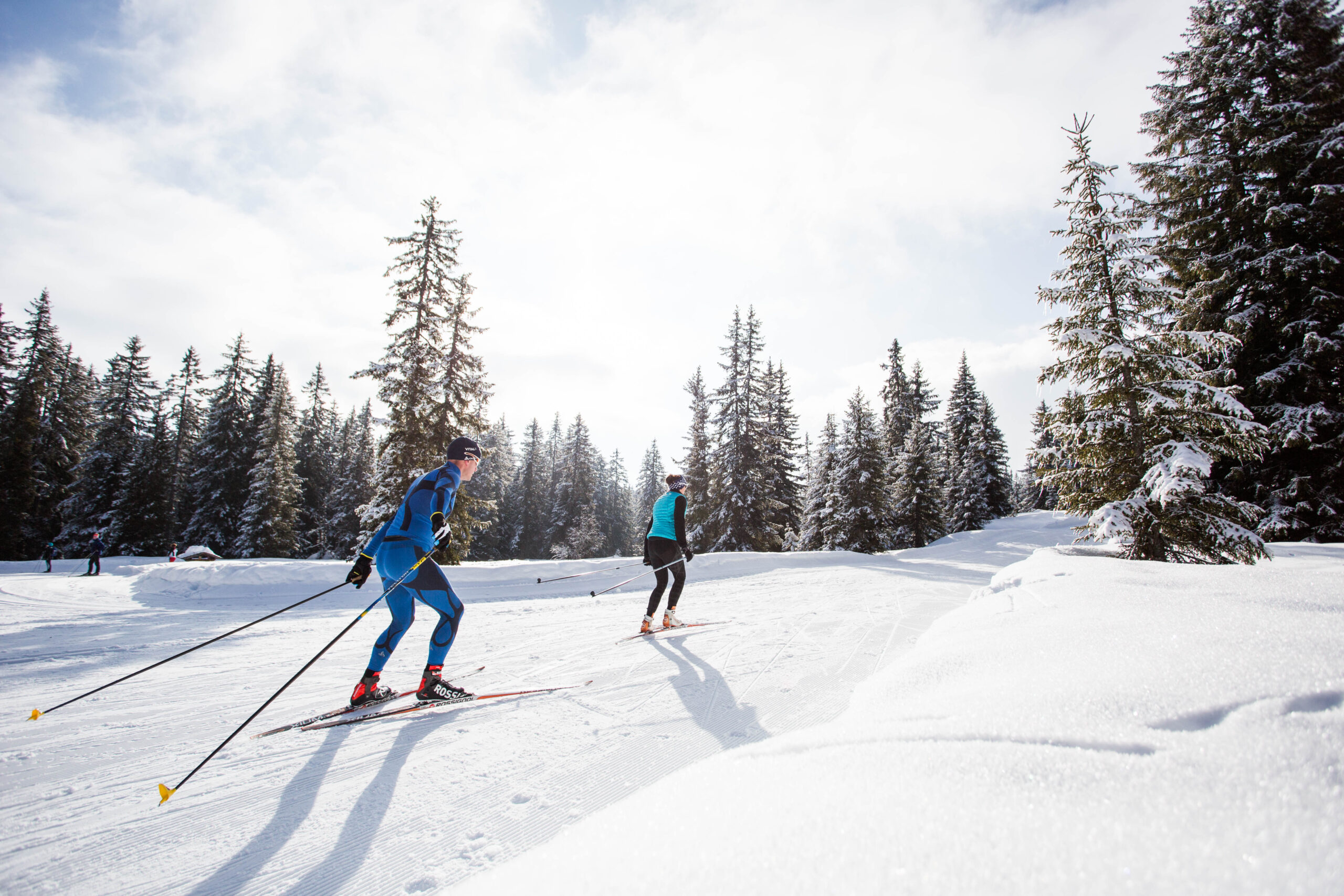 les saisies ski de fond