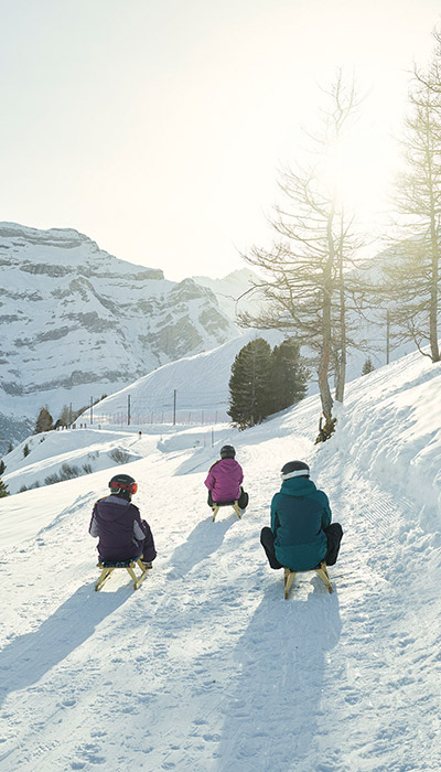 ski luge