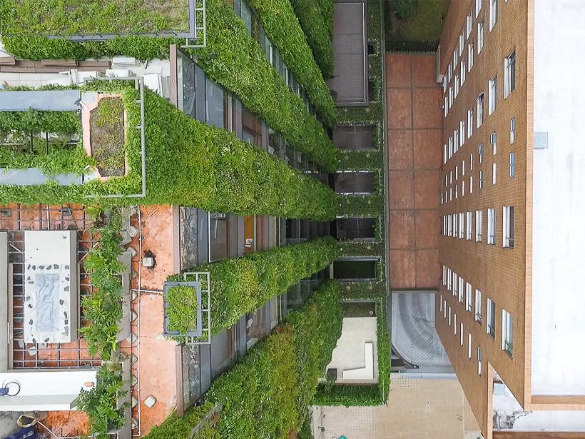 jardin vertical exterieur